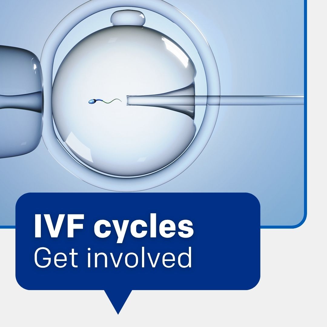 Photo of IVF Procedure wording says IVF Cycles Get Involved