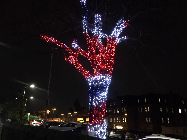 Tree of hope Union Flag